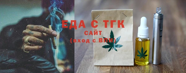 эйфоретик Няндома