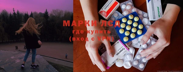 герыч Болотное
