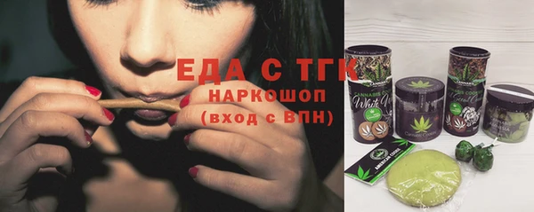 эйфоретик Няндома
