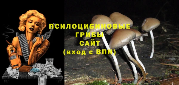 эйфоретик Няндома