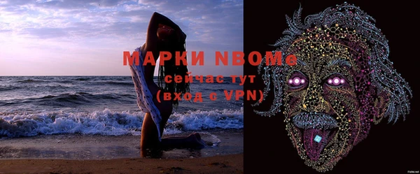 эйфоретик Няндома