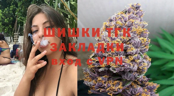 эйфоретик Няндома