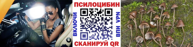где продают наркотики  Хилок  Псилоцибиновые грибы ЛСД 